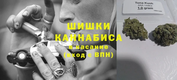 твердый Белокуриха