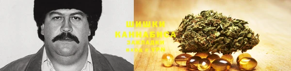 твердый Белокуриха