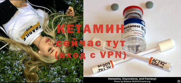 твердый Белокуриха