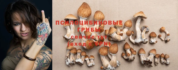 твердый Белокуриха